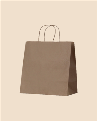 KRAFT PAPER BAG BROWN TWIST HANDLE (305X305X170) X 250 BETAECO