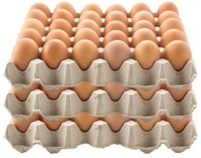 EGGS FREERANGE 700G TRAY JONES BROTHERS